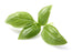 Basil Sweet Essential Oil (India) - Sunrise Botanics