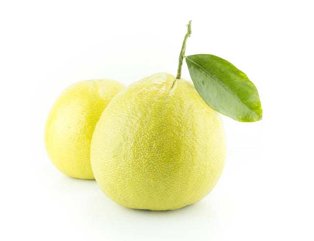 Bergamot Nature Identical Essential Oil - Sunrise Botanics