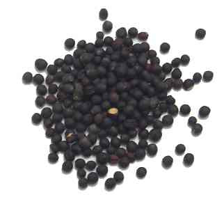 Mustard Seed Whole Black - Sunrise Botanics