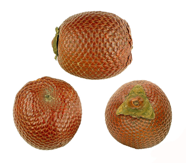 Buriti Fruit Carrier Oil (Brazil) - Sunrise Botanics