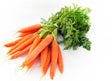 Carrot Macerated Carrier Oil - Sunrise Botanics