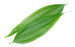 Cinnamon Leaf Essential Oil - Sunrise Botanics
