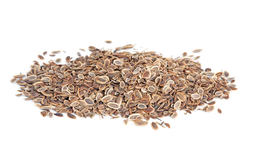 Dill Seed Whole (India) - Sunrise Botanics