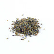 Lavender Flower Super Blue - Sunrise Botanics