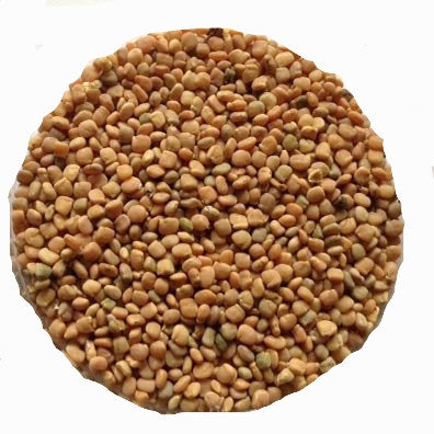 Guar Gum Seed Whole - Sunrise Botanics