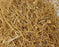 Cuscus Grass