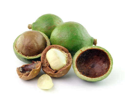 Macadamia Nut Carrier Oil Organic - Sunrise Botanics