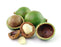 Macadamia Nut Carrier Oil (Unrefined) - Sunrise Botanics
