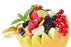Bahama Berry & Melon Fragrance Oil - Sunrise Botanics