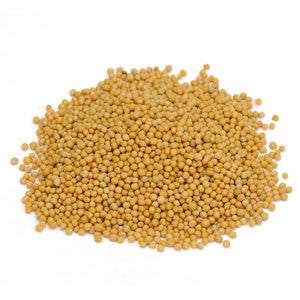 Mustard Seed Whole Yellow (India) - Sunrise Botanics