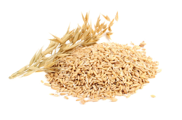Oat Carrier Oil - Sunrise Botanics