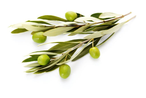 Olive Extra Virgin Carrier Oil Organic - Sunrise Botanics