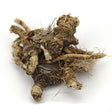 Osha Root Whole (USA) - Sunrise Botanics
