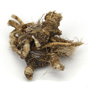 Osha Root Whole (USA) - Sunrise Botanics