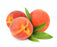 Peach Lip Balm Flavor Oil - Sunrise Botanics