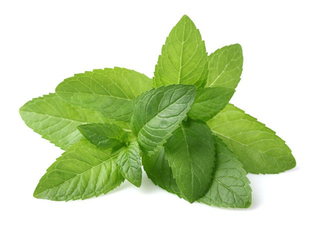 Peppermint Essential Oil (India) - Sunrise Botanics