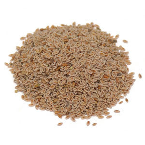 Psyllium Seed Whole (Blonde) - Sunrise Botanics