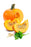 Pumpkin Seed Carrier Oil Organic - Sunrise Botanics