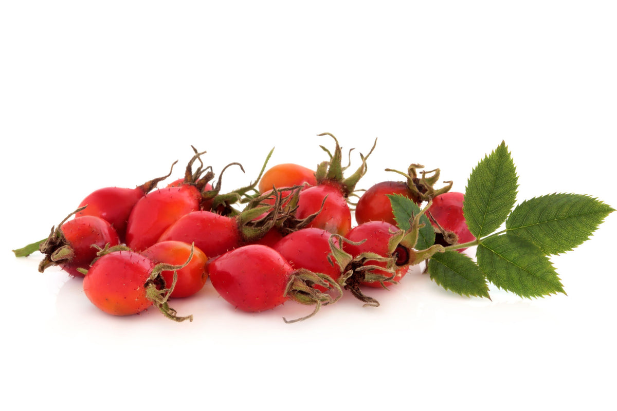 Rosehip Carrier Oil (Refined) - Sunrise Botanics