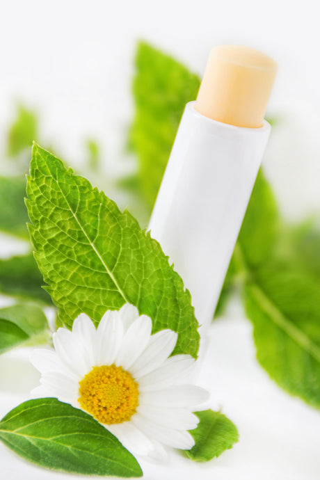 Lip Balm Base Natural - Sunrise Botanics