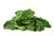 Spinach Leaf 3% - Sunrise Botanics