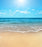 Sun and Sand Fragrance Oil - Sunrise Botanics