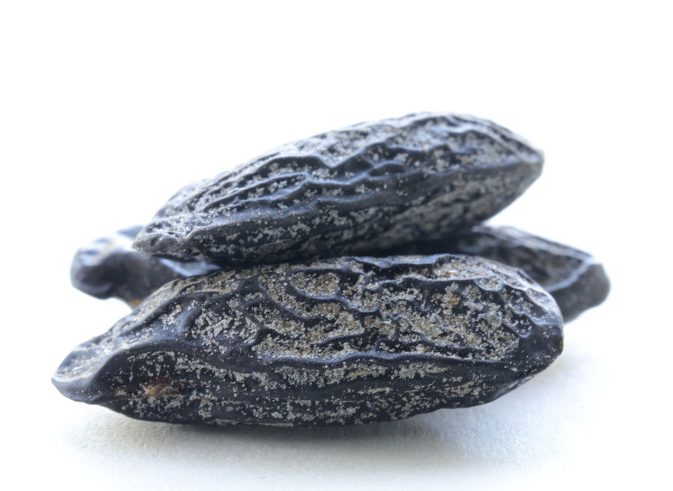 Tonka Beans Whole - Sunrise Botanics