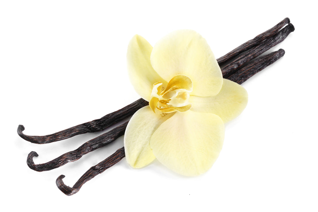 Vanilla Bean Lip Balm Flavor Oil - Sunrise Botanics