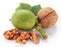 Walnut Virgin Carrier Oil Organic - Sunrise Botanics