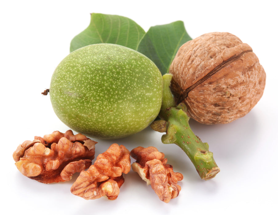 Walnut Virgin Carrier Oil Organic - Sunrise Botanics